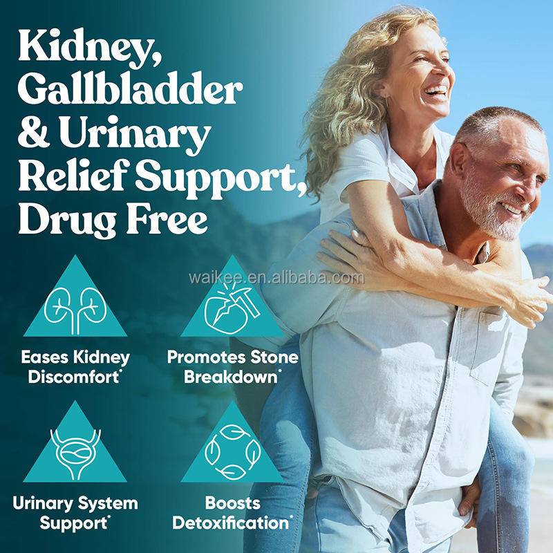 Natural Stone Breaker – 60 Vegetarian Soft Capsules for Urinary & Daily Wellness