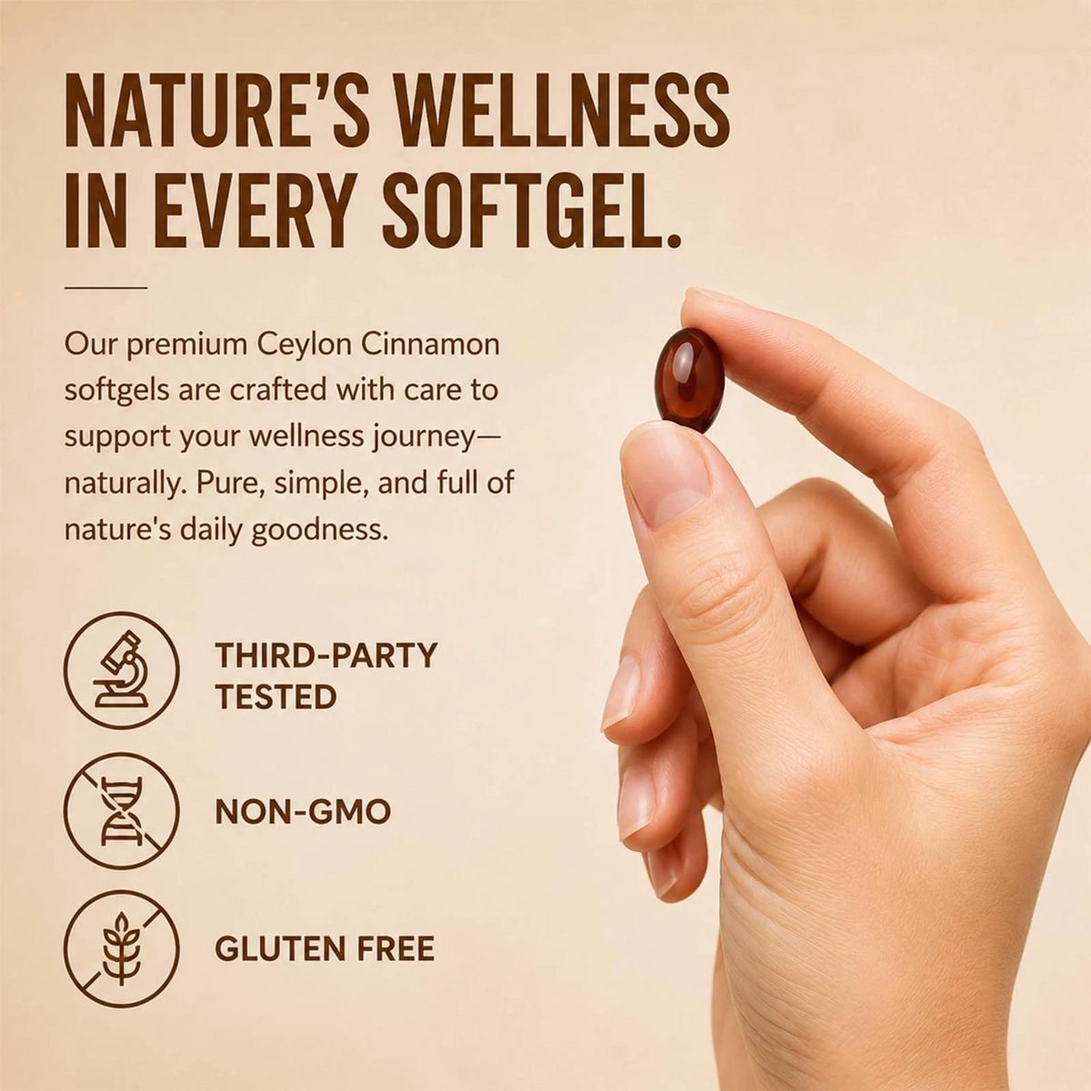 Ceylon Cinnamon Softgels with MCT Oil High Potency Supplement