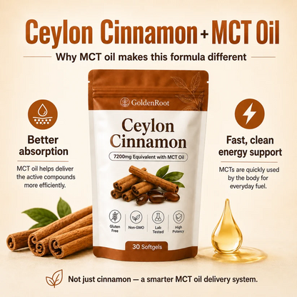 Ceylon Cinnamon Softgels with MCT Oil High Potency Supplement